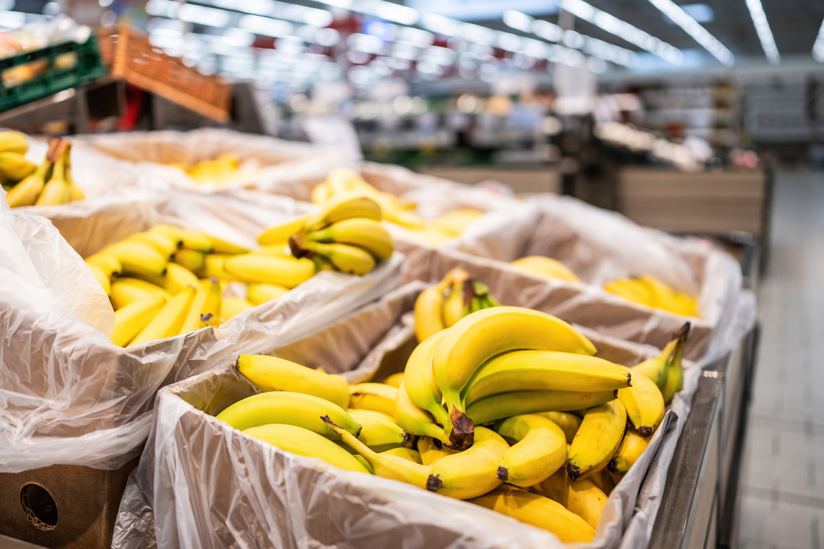 Exportação de Alimentos Orgânicos: Oportunidades para o Agronegócio Brasileiro em 2025